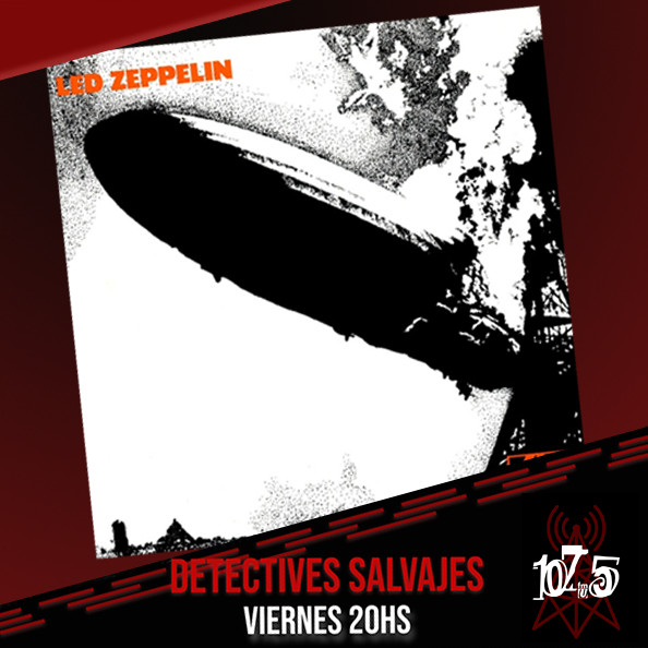 DETECTIVES SALVAJES